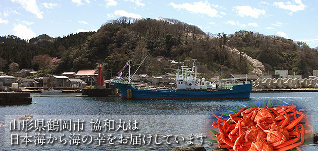 山形県鶴岡市　協和丸は日本海から海の幸をお届けしています。